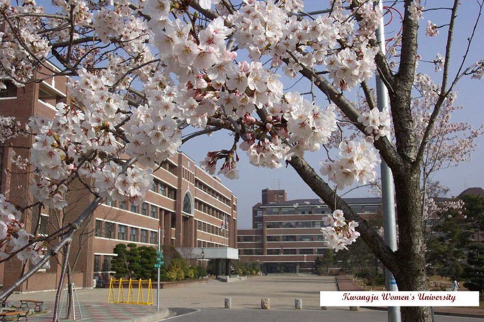 Mùa xuân tại khuôn viên đại học nữ sinh Kwangju