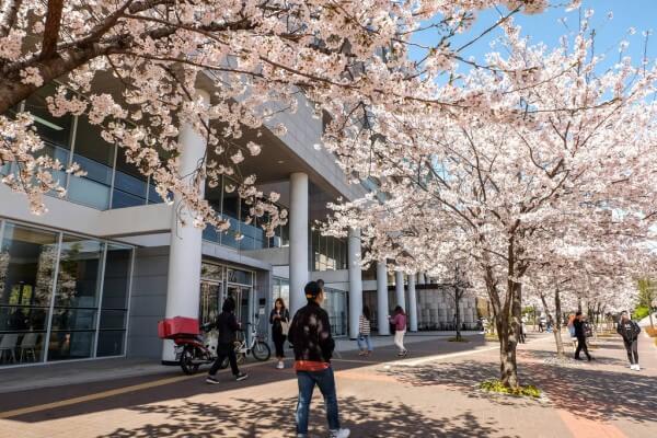 Mùa xuân tại Đại học Konkuk Hàn Quốc