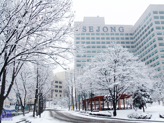 Sejong winter