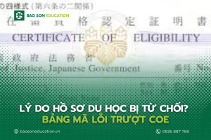 mã lỗi trượt COE