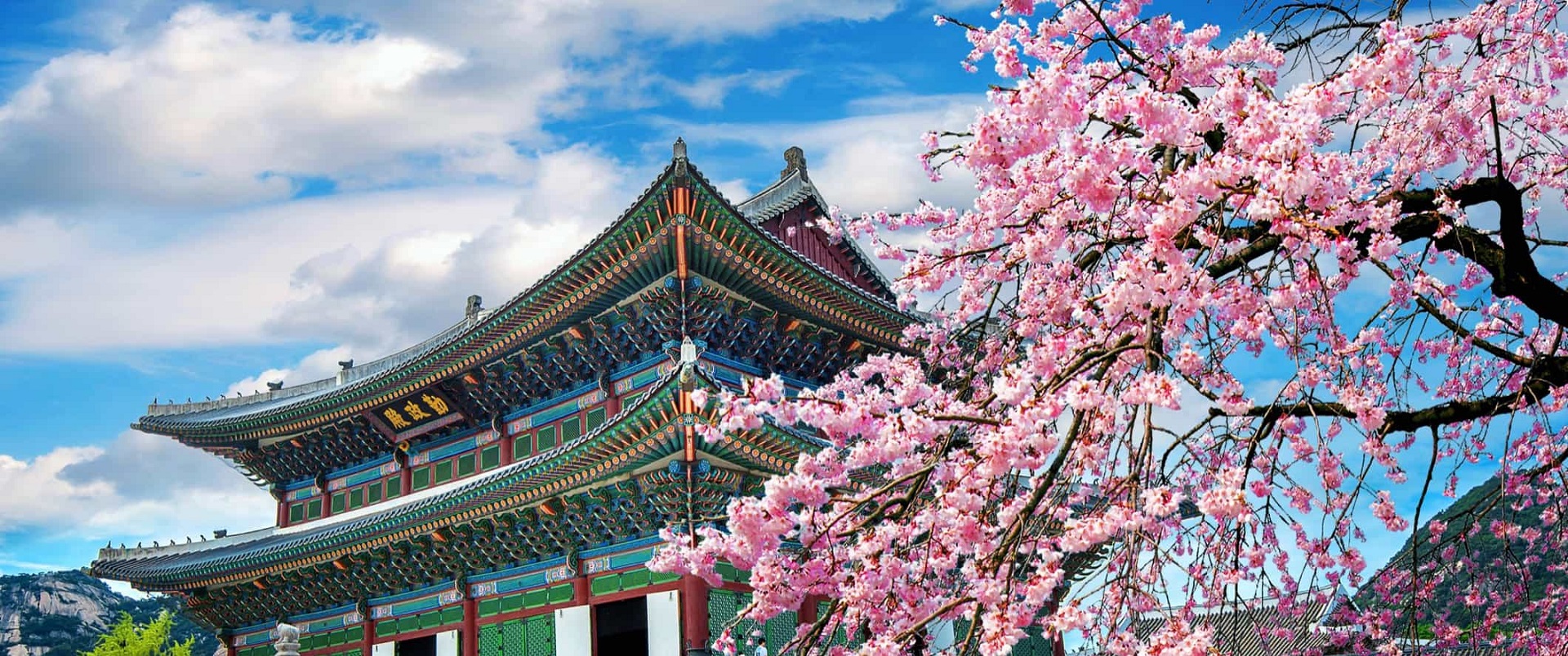 Du Học Hàn Quốc Tại Seoul Nên Học Trường Nào 2025?