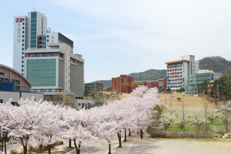 Đại học Kyungil Du học hàn Quốc